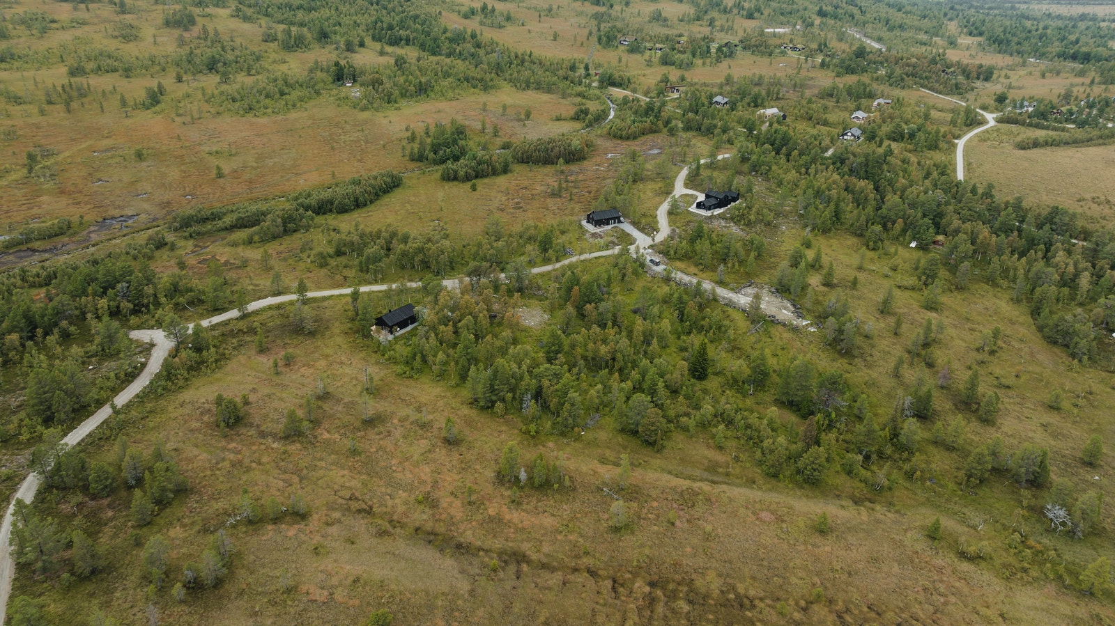 Bilde fra tomtefeltet Galleribilde