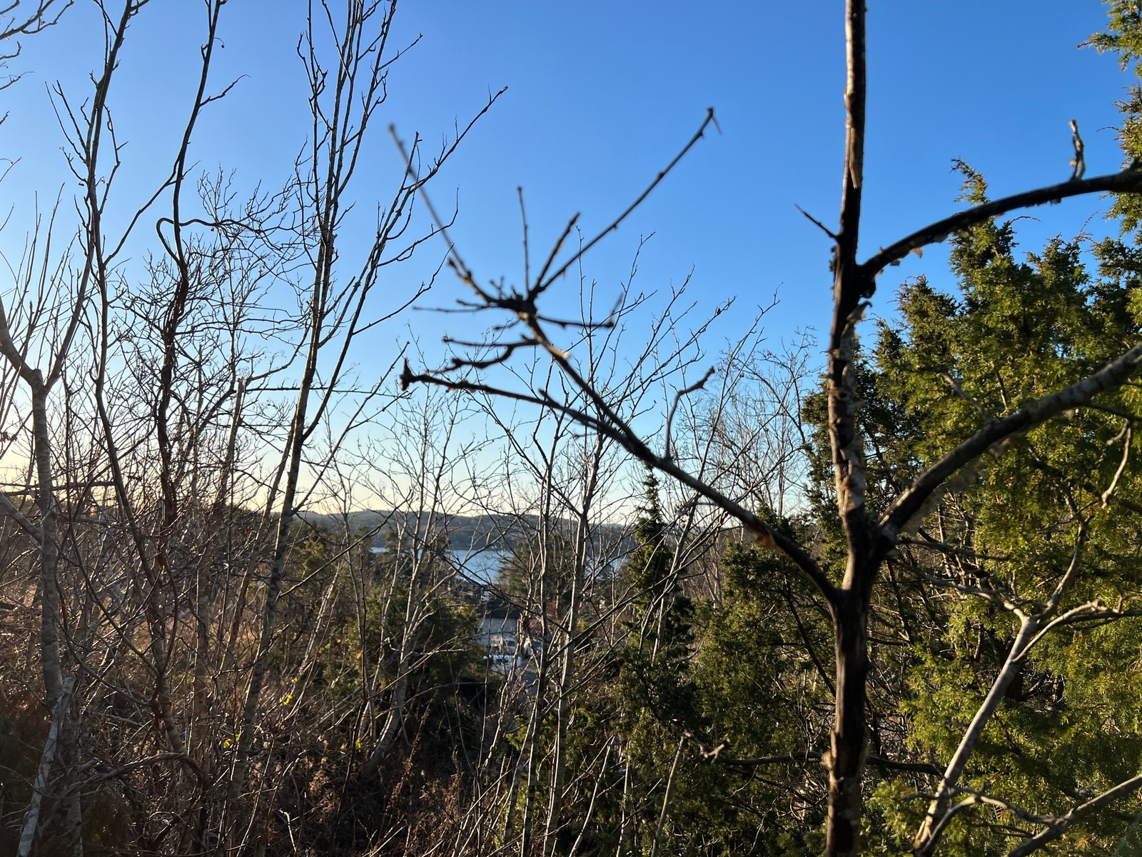 Tomt 2 - Sjøutsikt! Galleribilde