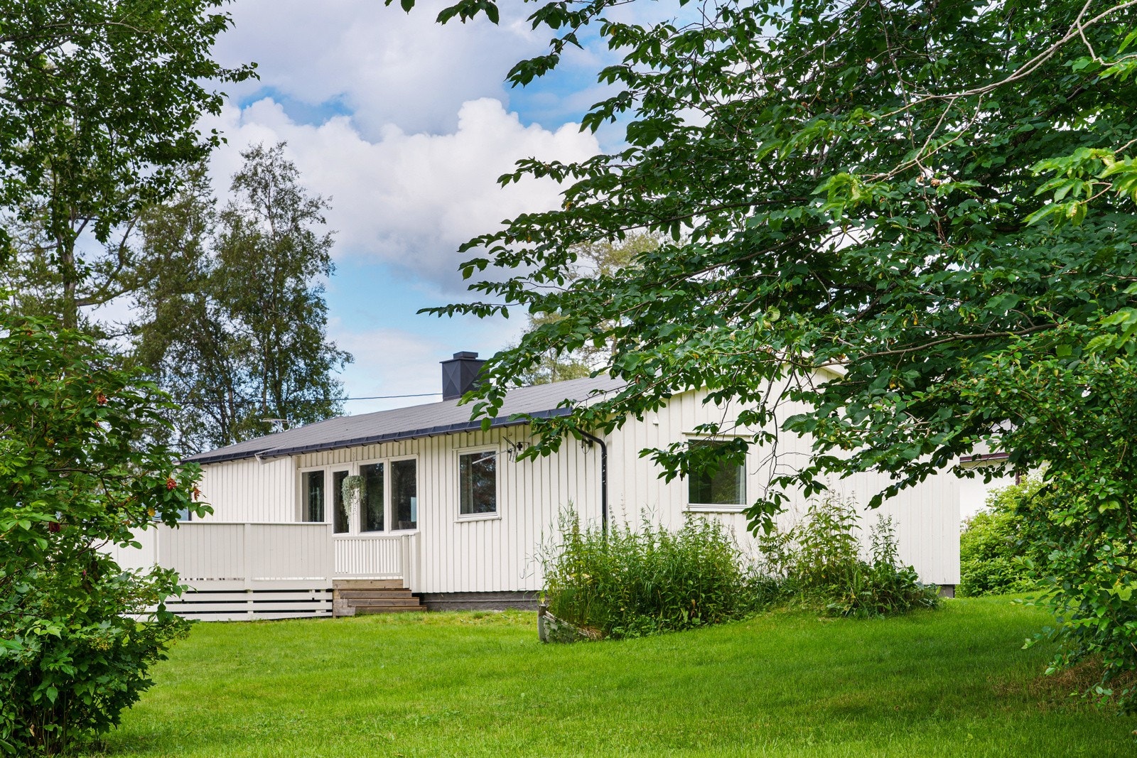 Kom, bli med å ta en titt! Galleribilde