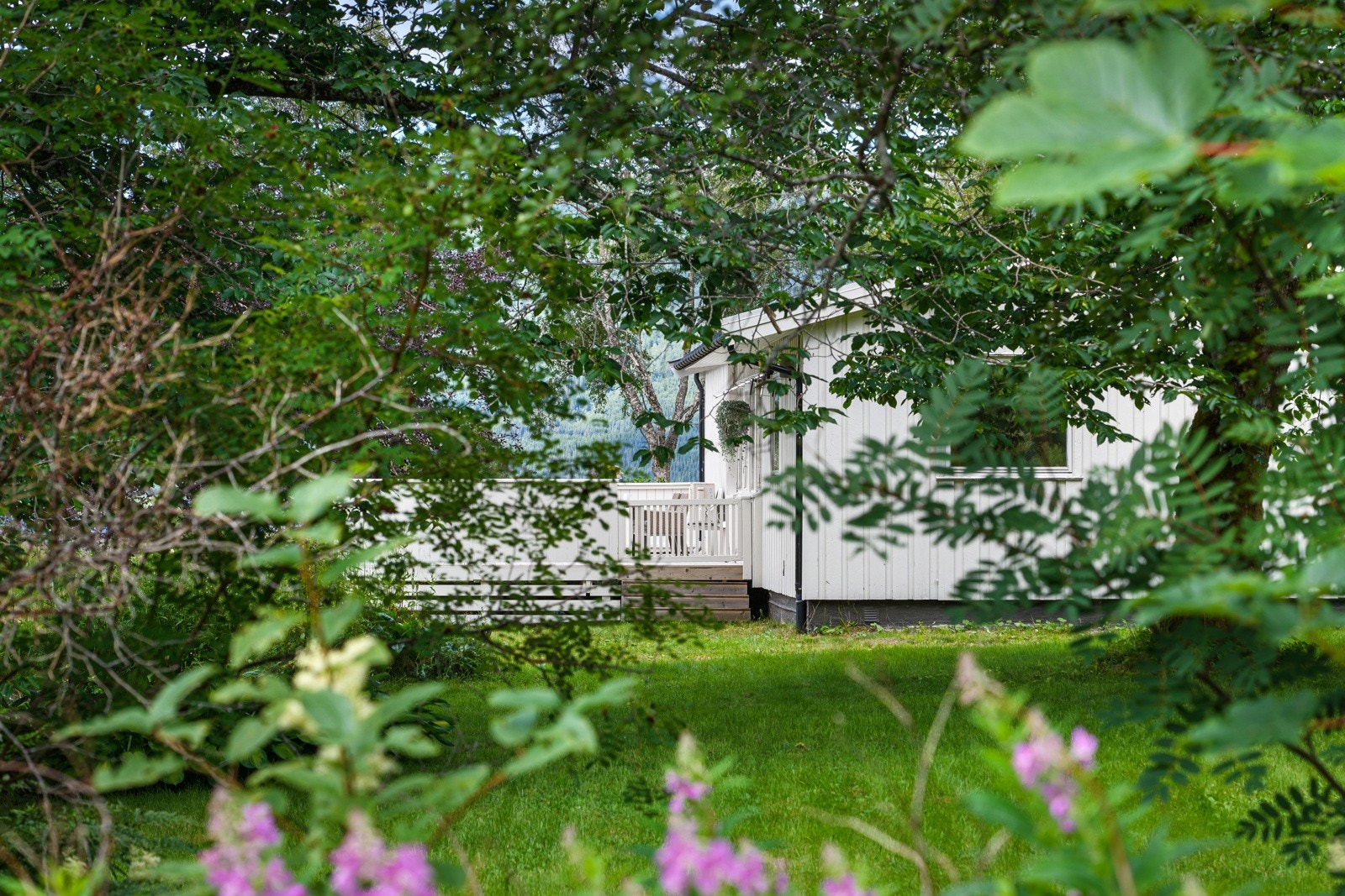 Fantastisk uteområde med delikat beplantning Galleribilde