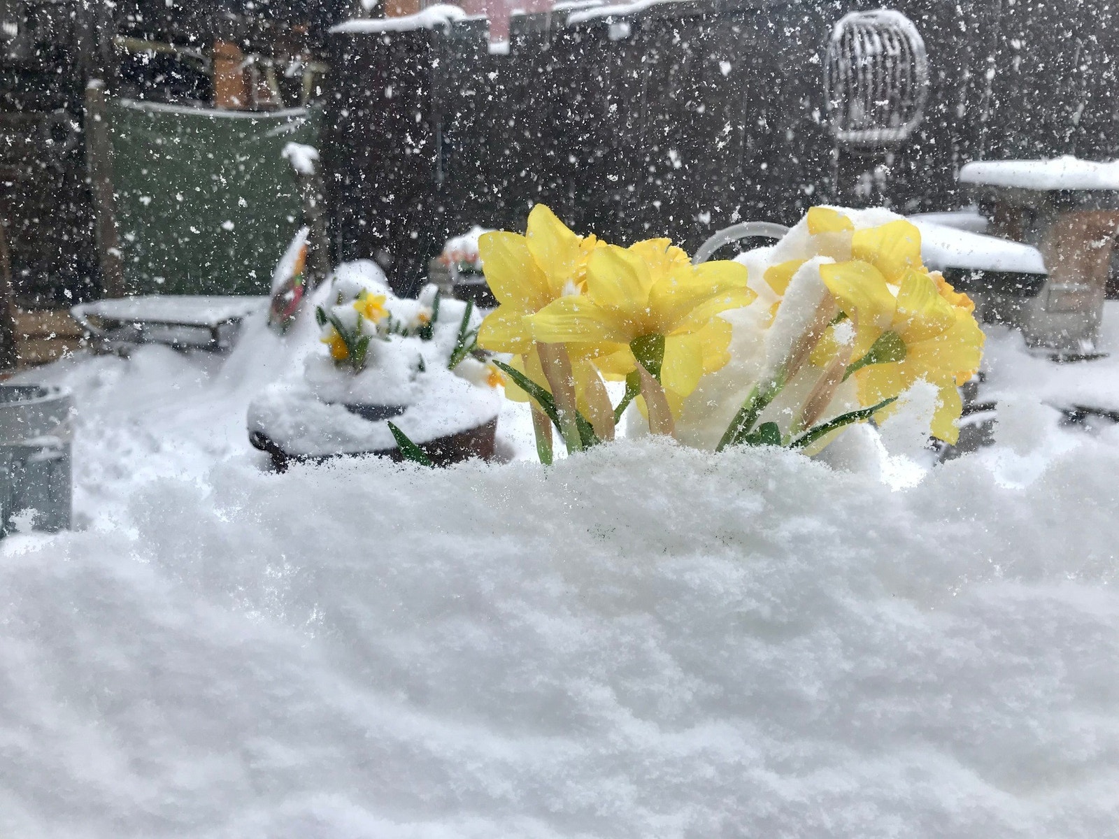 Selgers bilde - Påskestemning Galleribilde