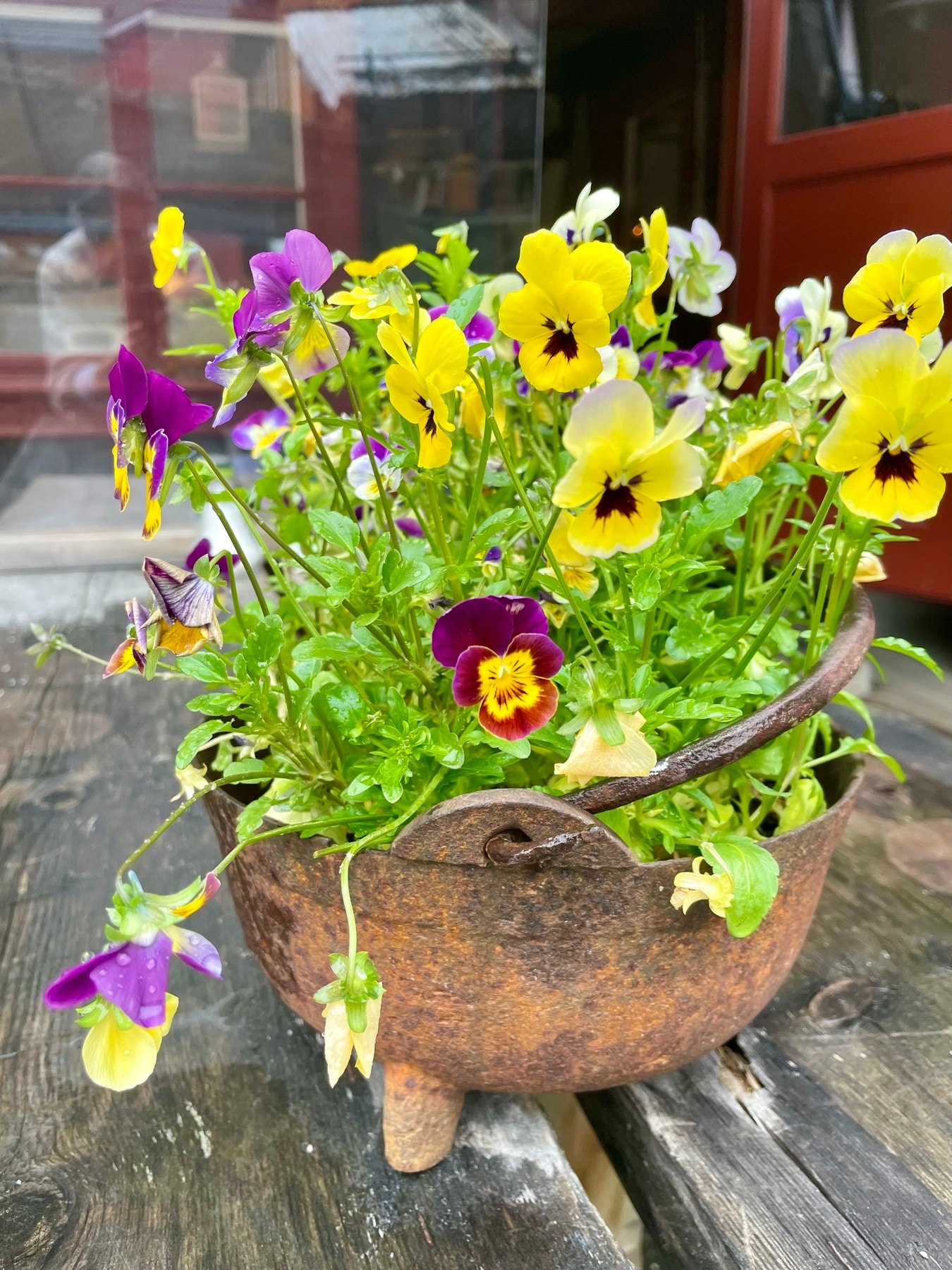 Selgers bilde Galleribilde