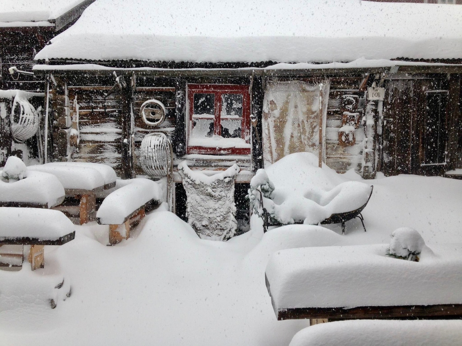 Selgers bilde Galleribilde