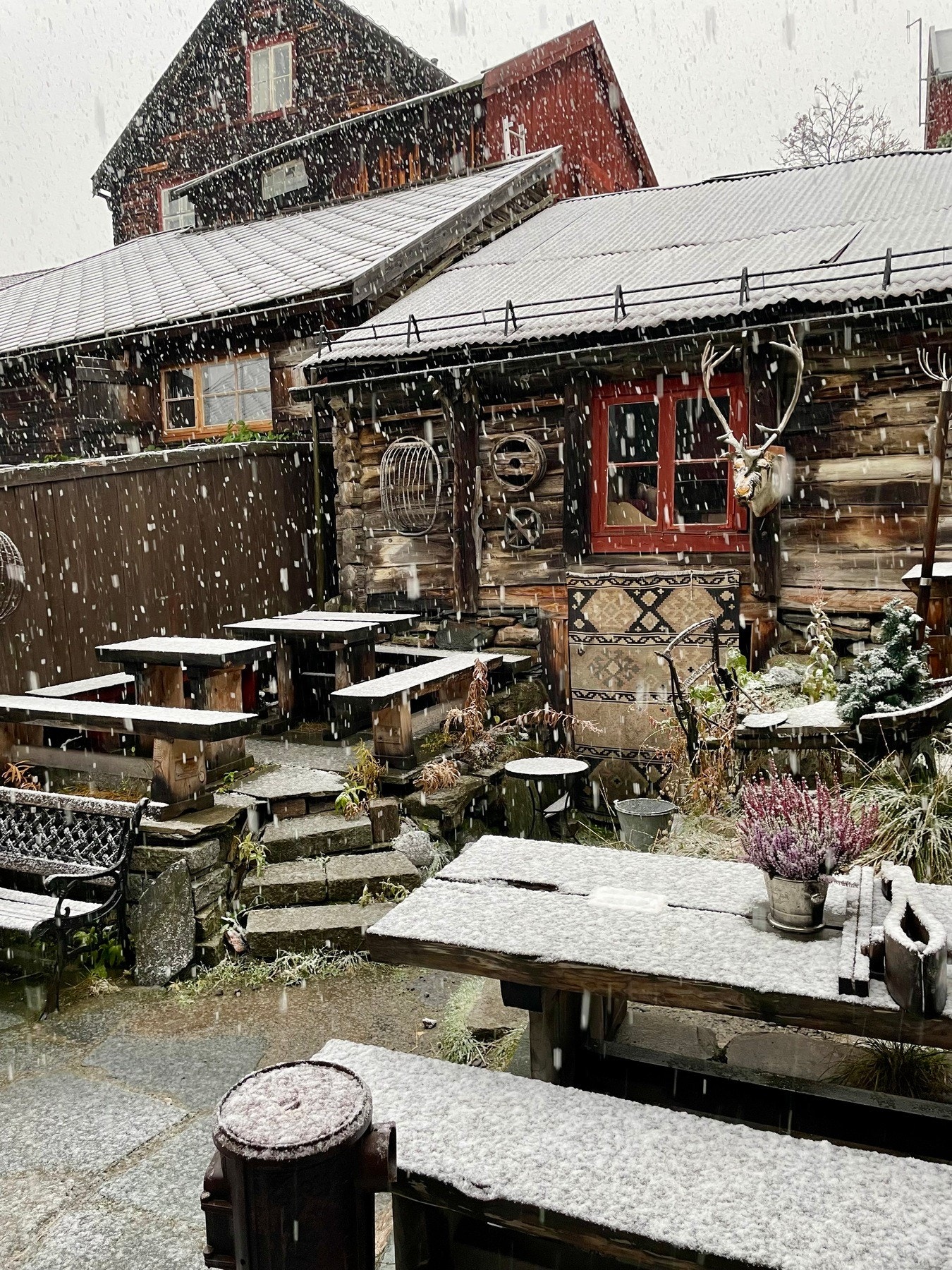 Selgers bilde Galleribilde