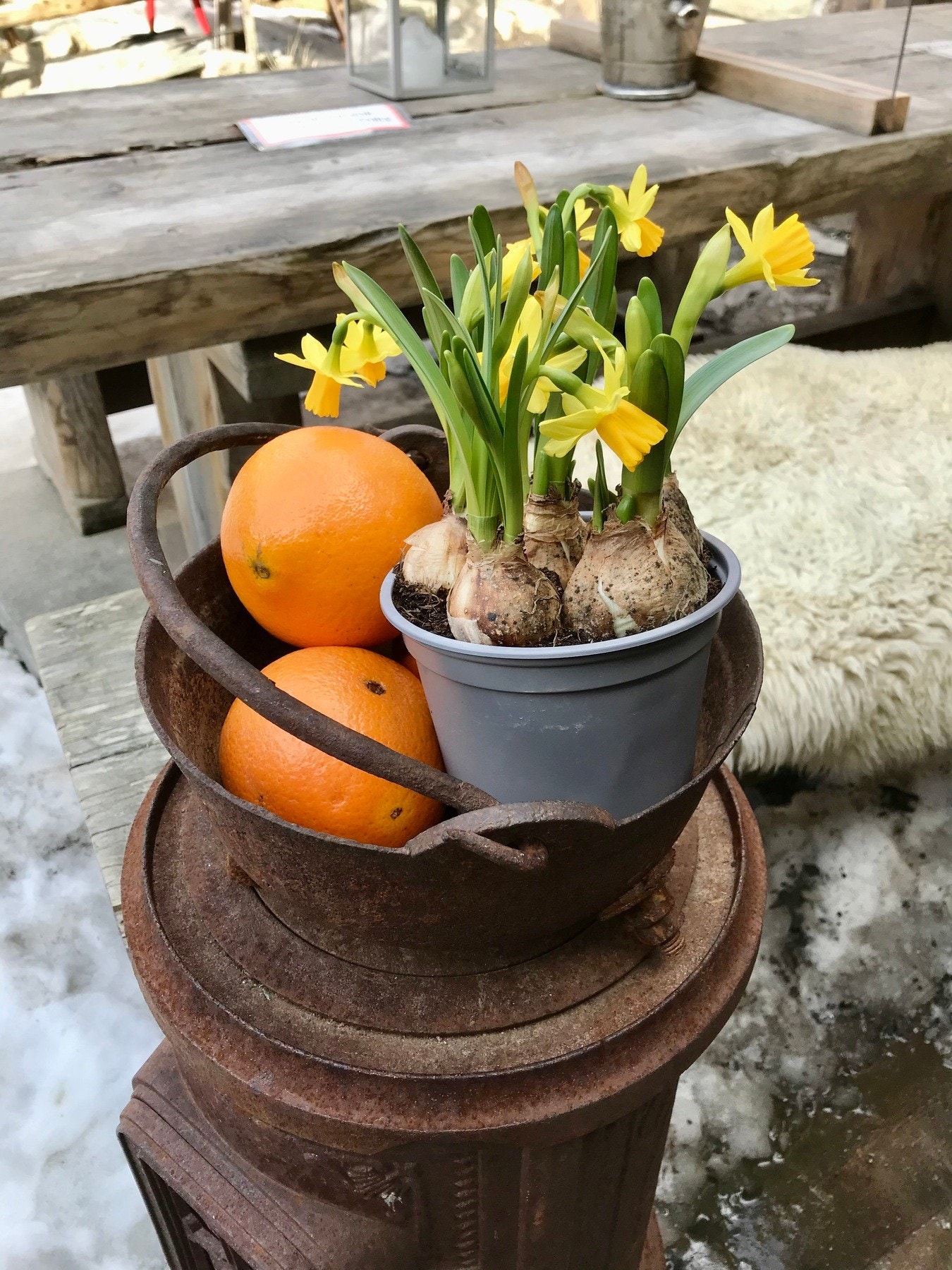 Selgers bilde - Påskestemning Galleribilde