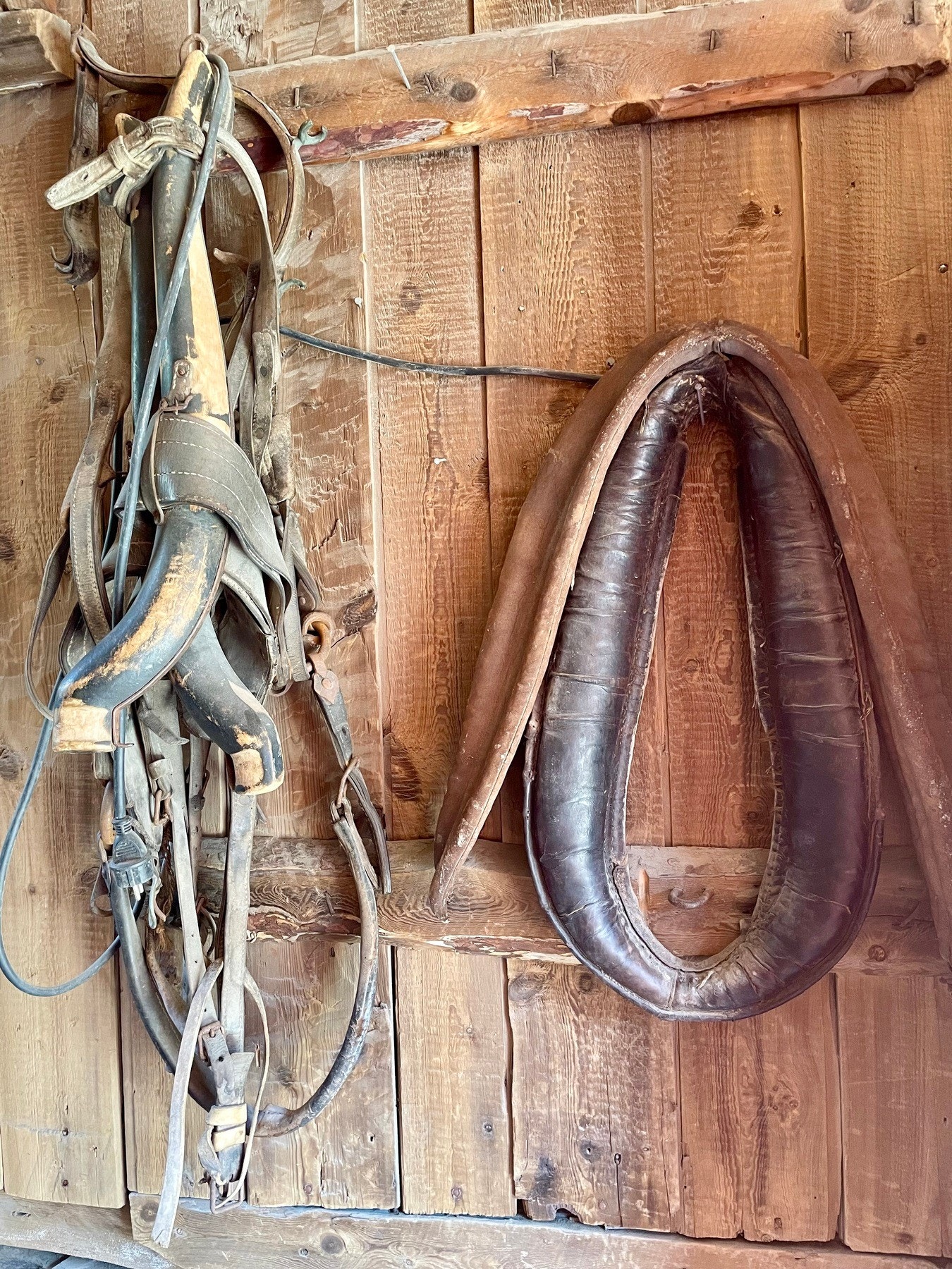 Selgers bilde Galleribilde