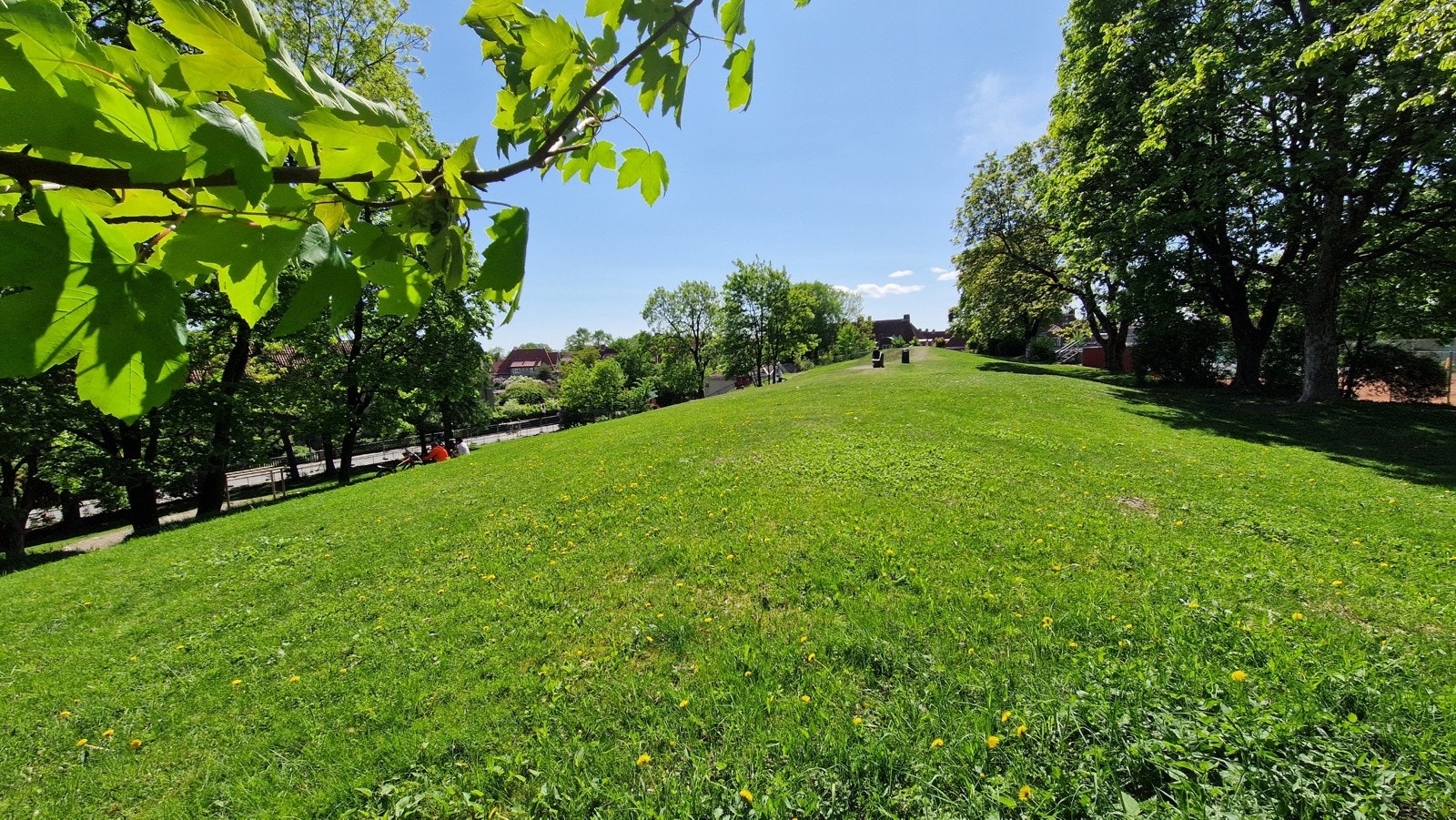 Boligen ligger rett ved halsparken aktivitet- og treningspark. Galleribilde