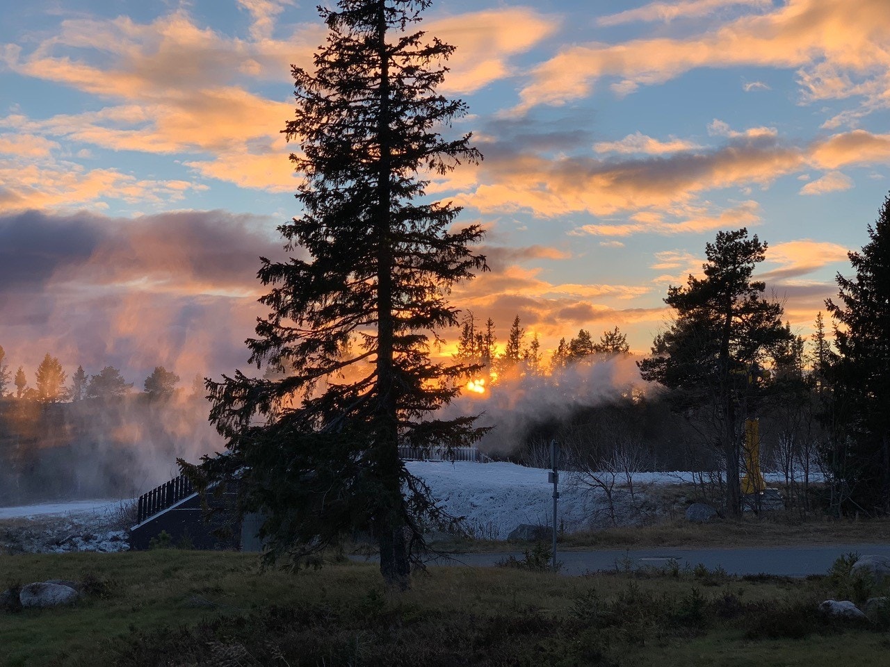 Selgers bilde Galleribilde