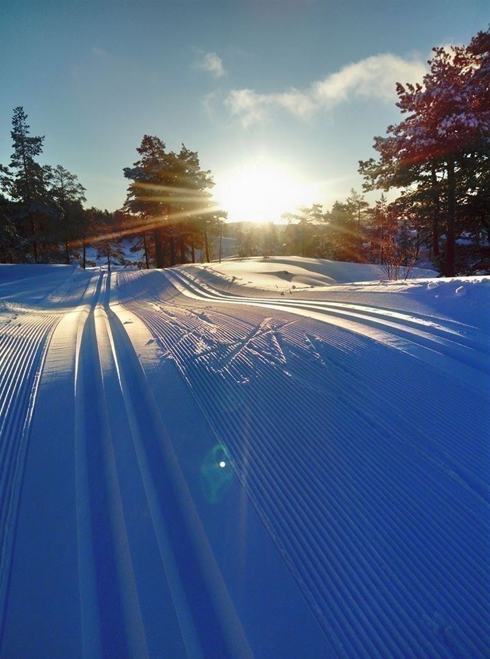 5 mil maskinpreparerte skiløyper rett utenfor hyttedøra Galleribilde