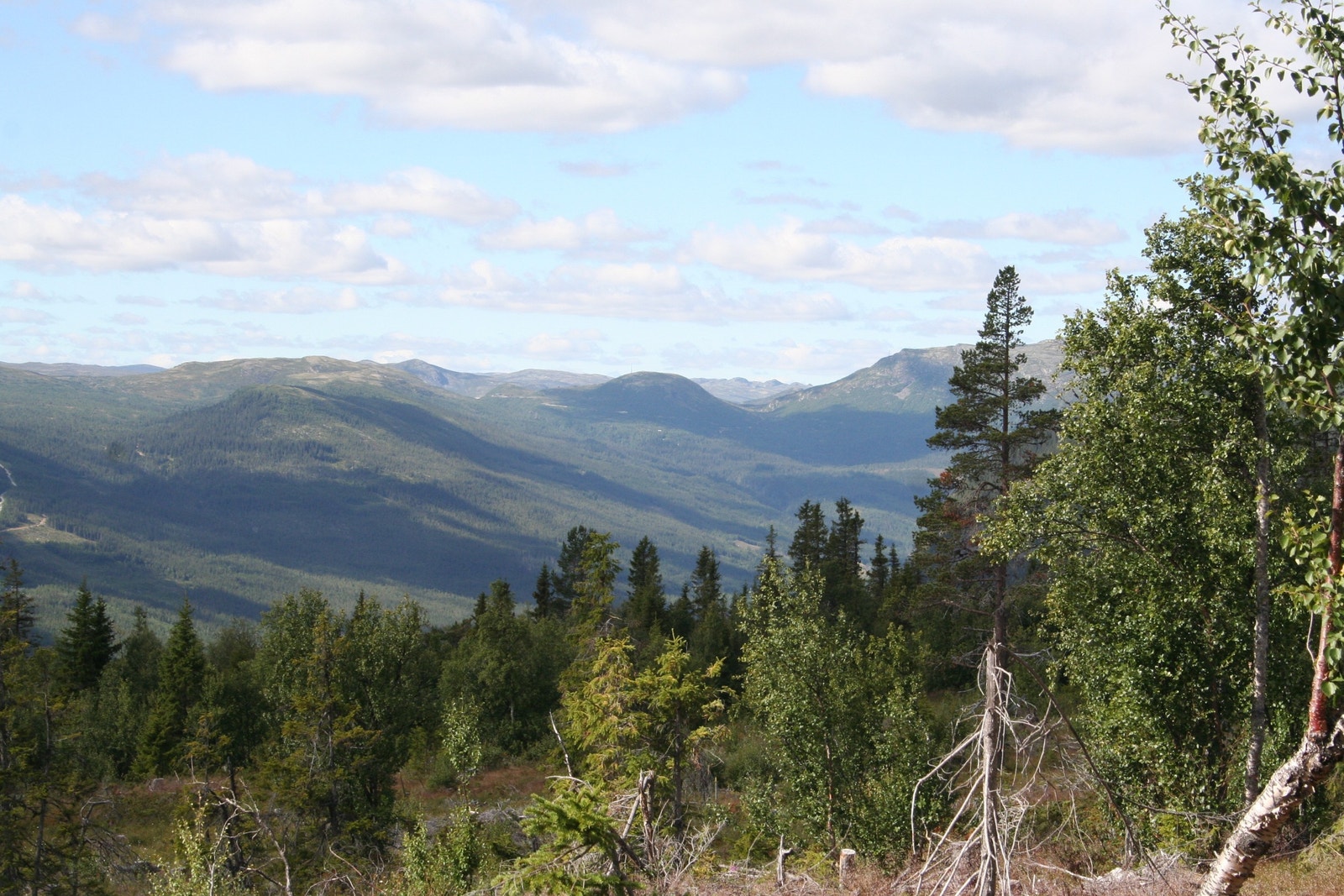 Utsikt fra tomtene Galleribilde