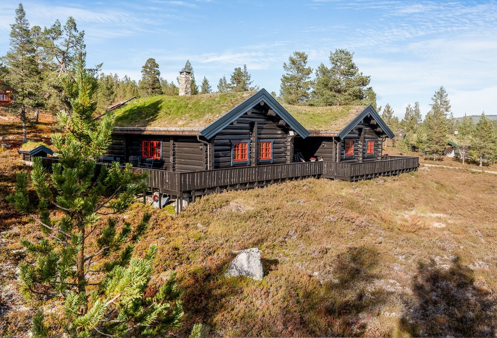 Stor solrik terrasse strekker seg rundt hytta Galleribilde