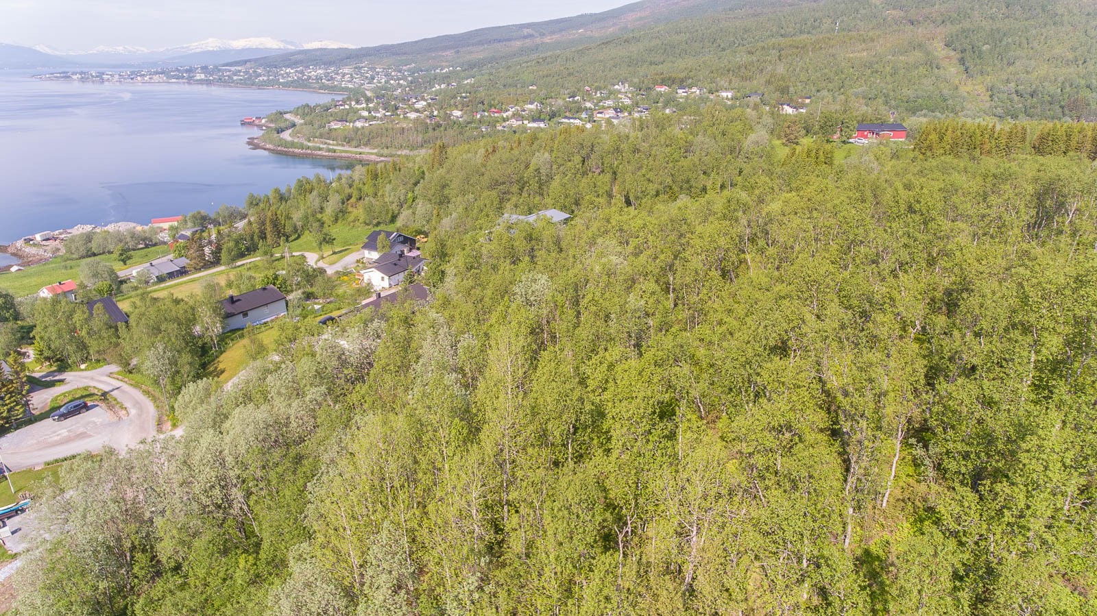 008_.jpg Galleribilde