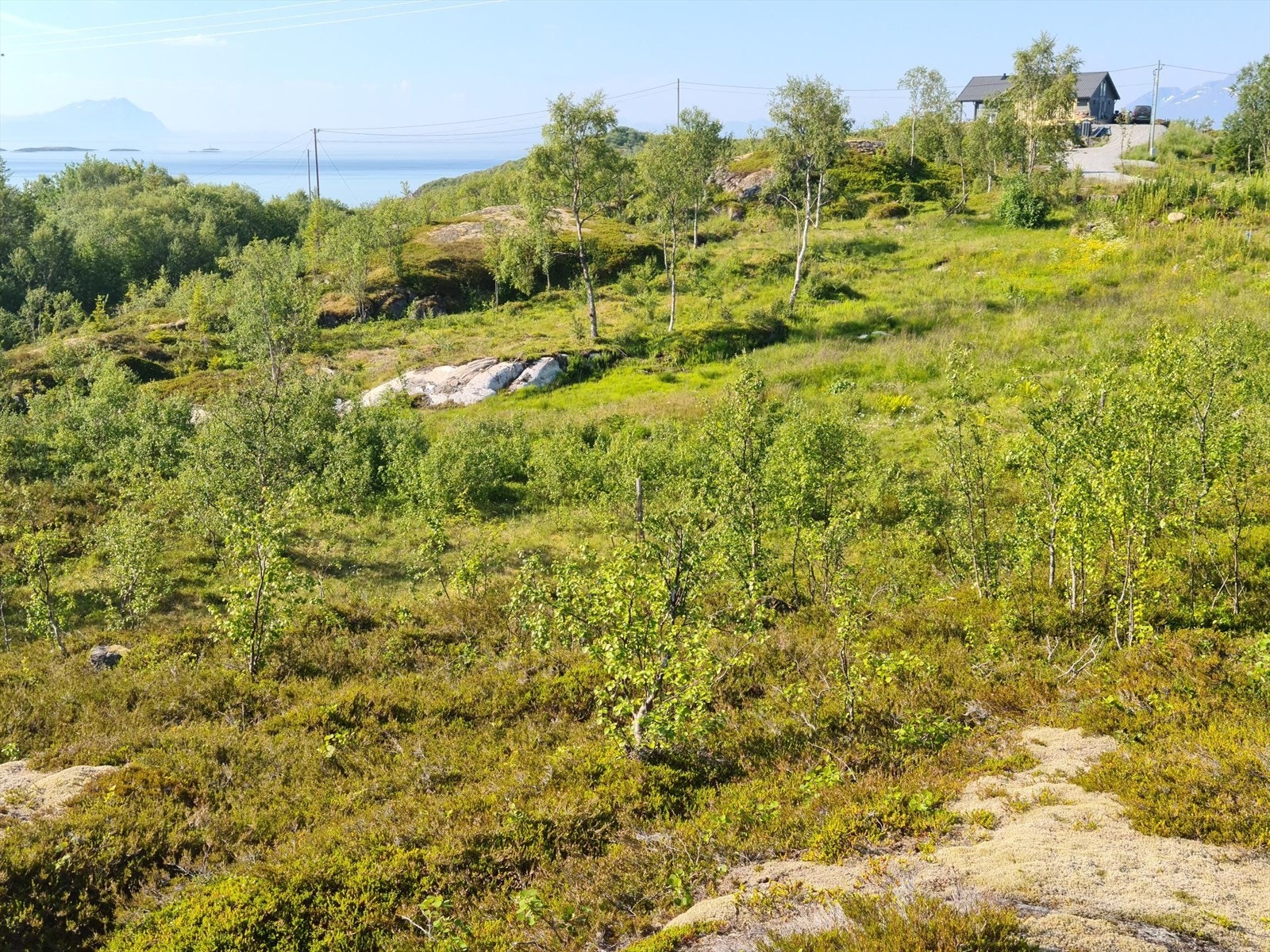 Tomtene har enkel adkomst. Galleribilde