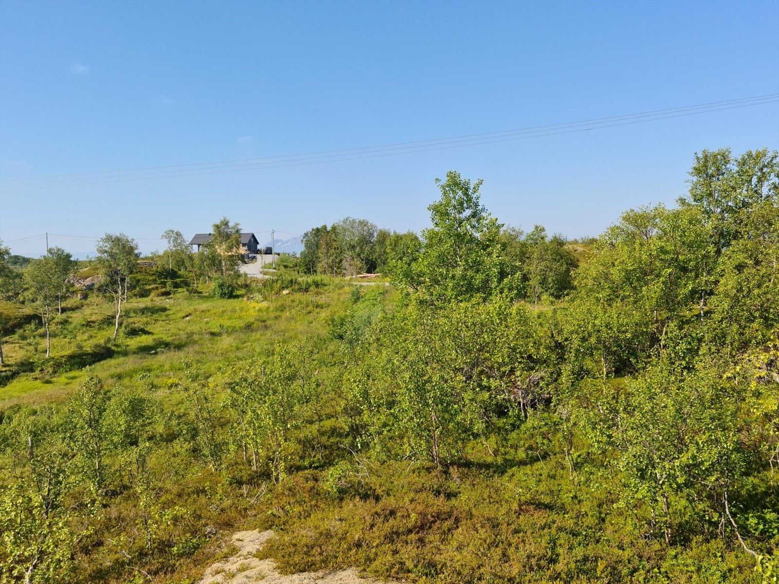 Forholdsvis flatt terreng. Galleribilde