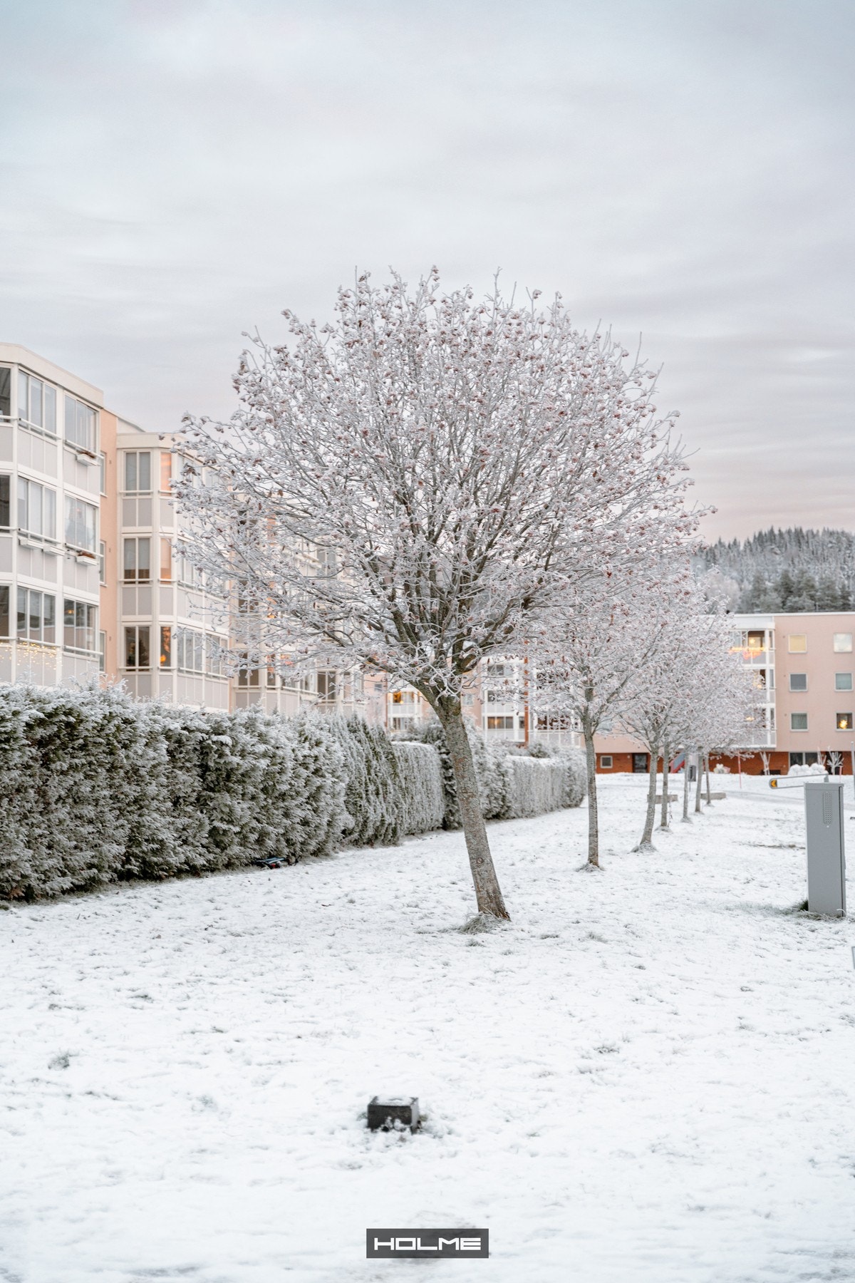 Fellesarealene er pent opparbeidet med blant annet plenarealer, diverse beplantning, sittegrupper, lekeapparater og gangveier. Galleribilde