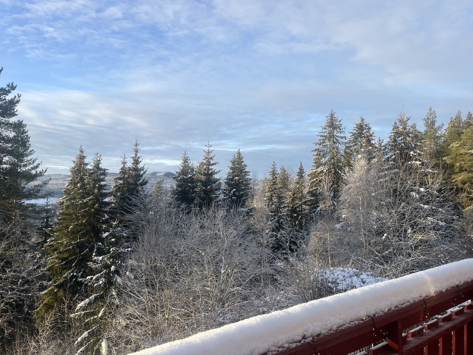 Nyt utsikten mot Nordmarka. Galleribilde