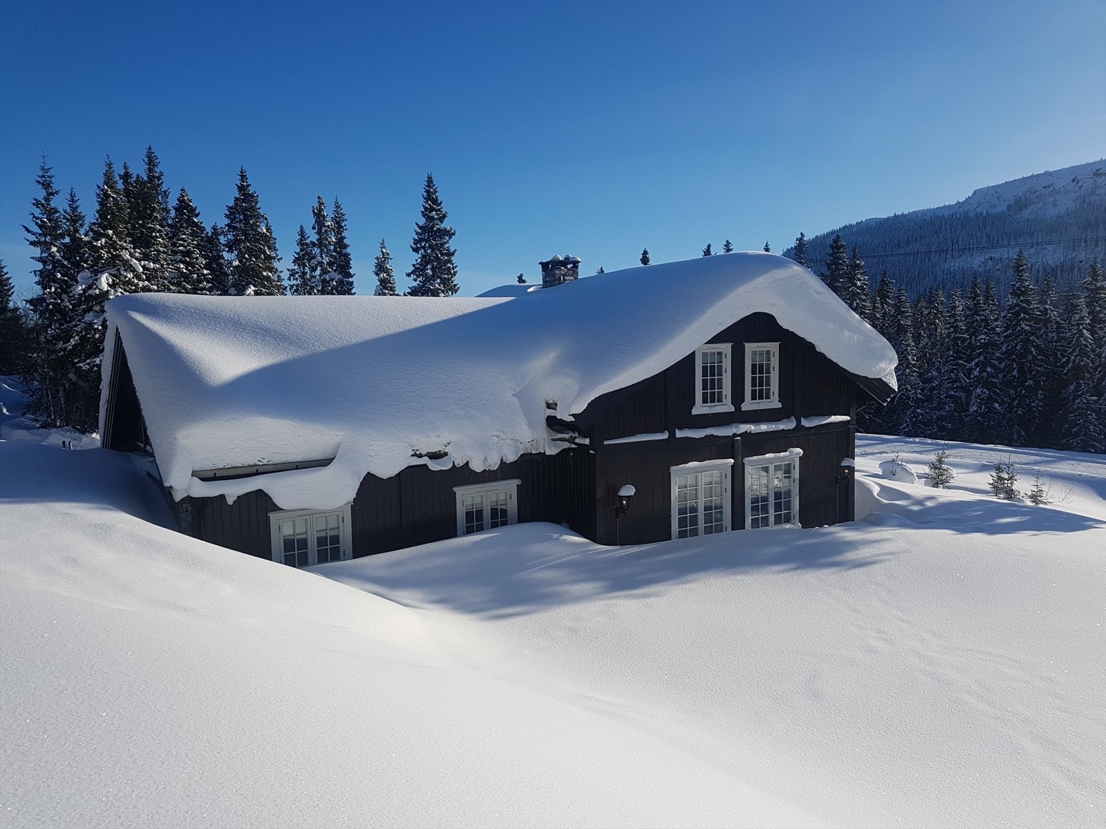 (Foto: Privat) Galleribilde