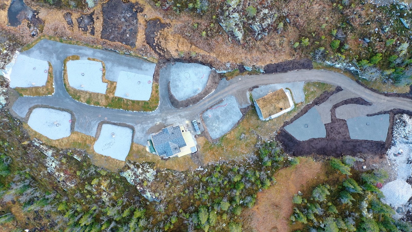 Kollen Diple om høsten Galleribilde