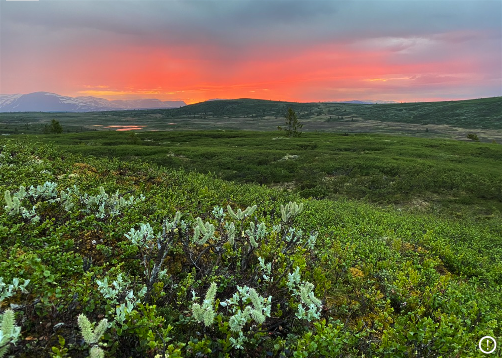 Nydelig natur i solnedgangen. Galleribilde