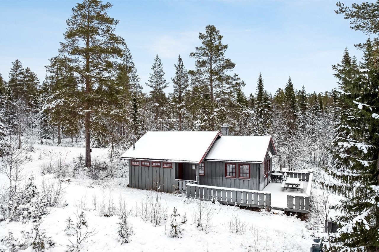 Hytta ligger fint til med direkte tilgang til flotte turområder i fjellet, sommer og vinter Galleribilde