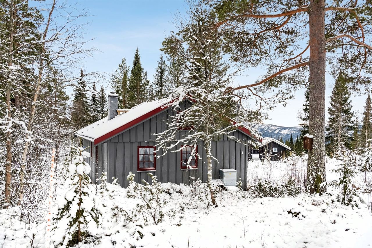 Solcelleanlegg og vann fra vannpost ca. 100 meter fra hytta Galleribilde