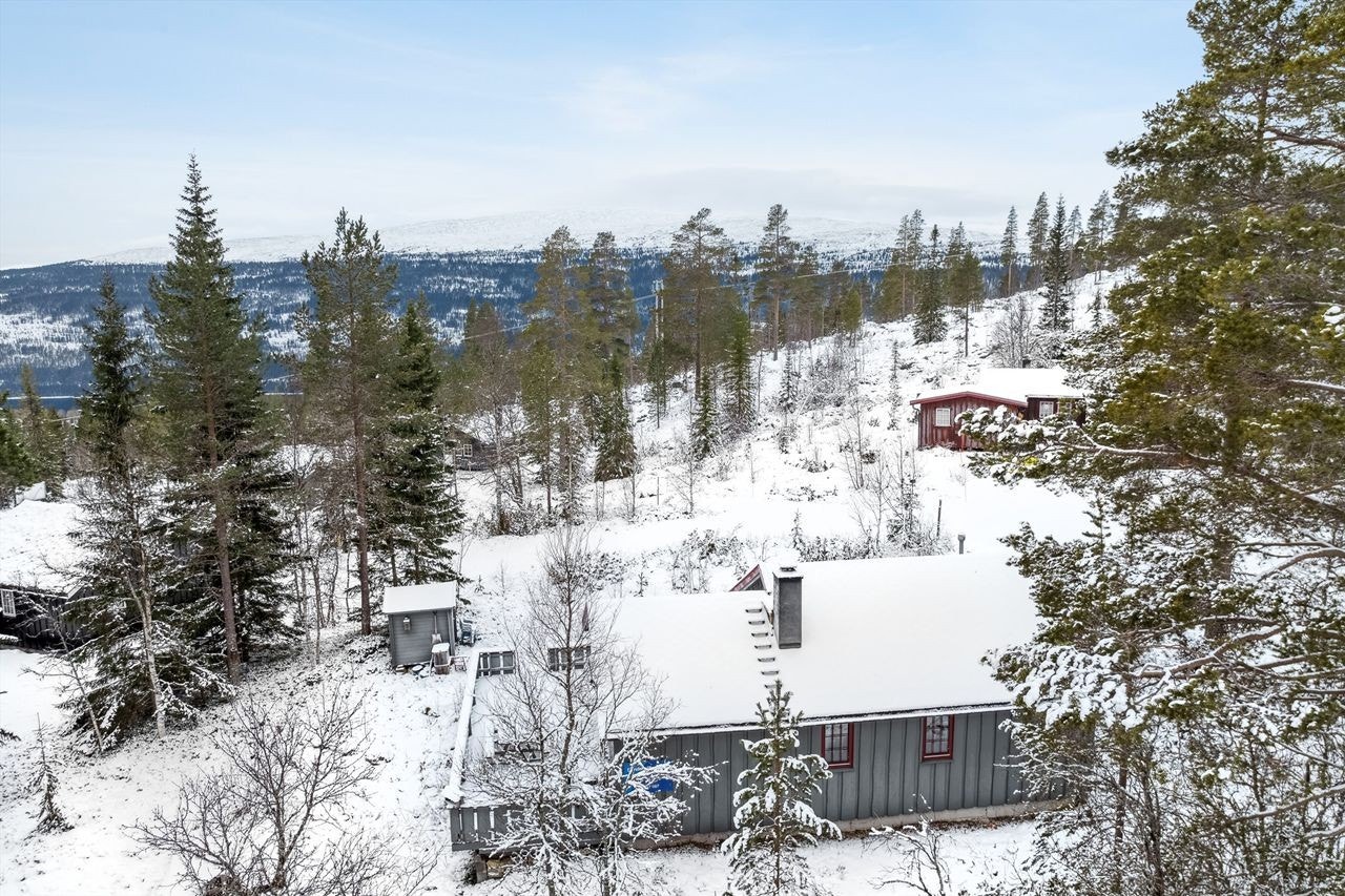 Velkommen til Stenåsvegen 4 ved foten av vakre Litlrøåsen - ca 750 moh. Galleribilde