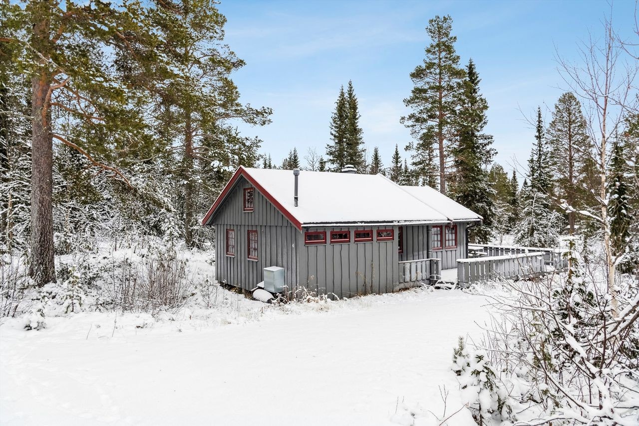 Parkering rett ved hytteveggen Galleribilde