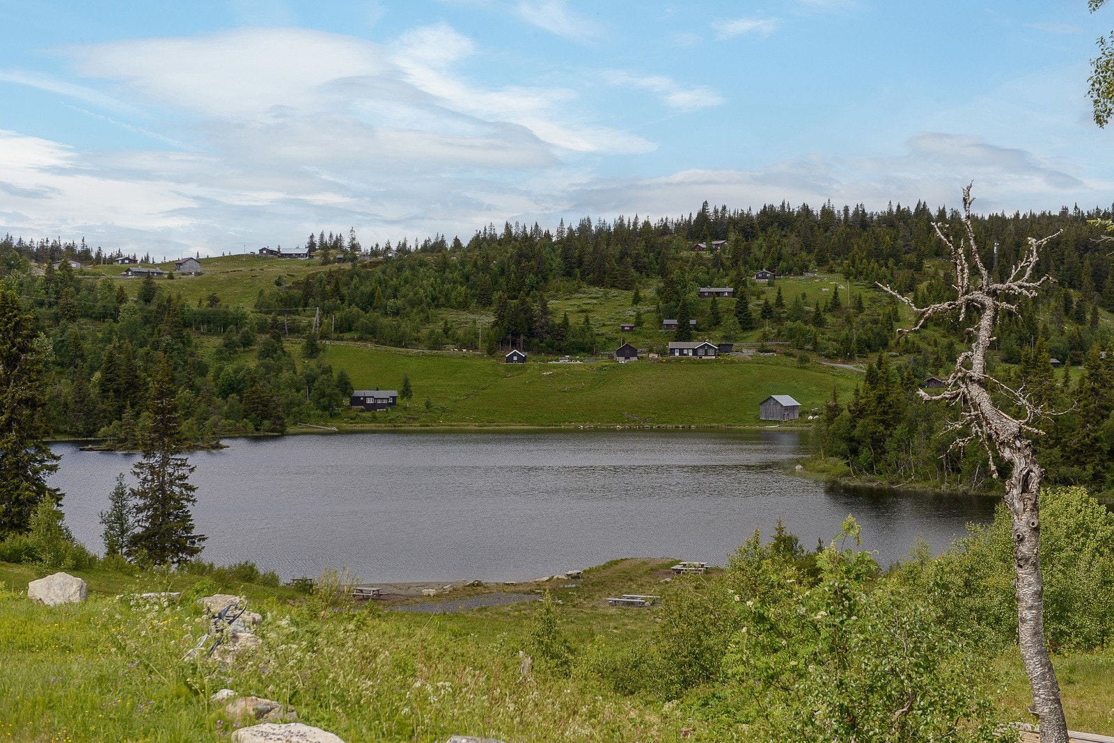 Veslesetervannet ligger i umiddelbar nærhet fra hytta. Her er alt er godt tilrettelagt til bading og kanopadling om sommeren. Galleribilde