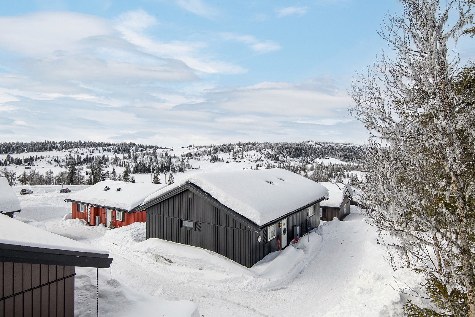 Populære Austlid tilbyr fantastisk natur med rolige og avslappende omgivelser, sommer som vinter. Galleribilde