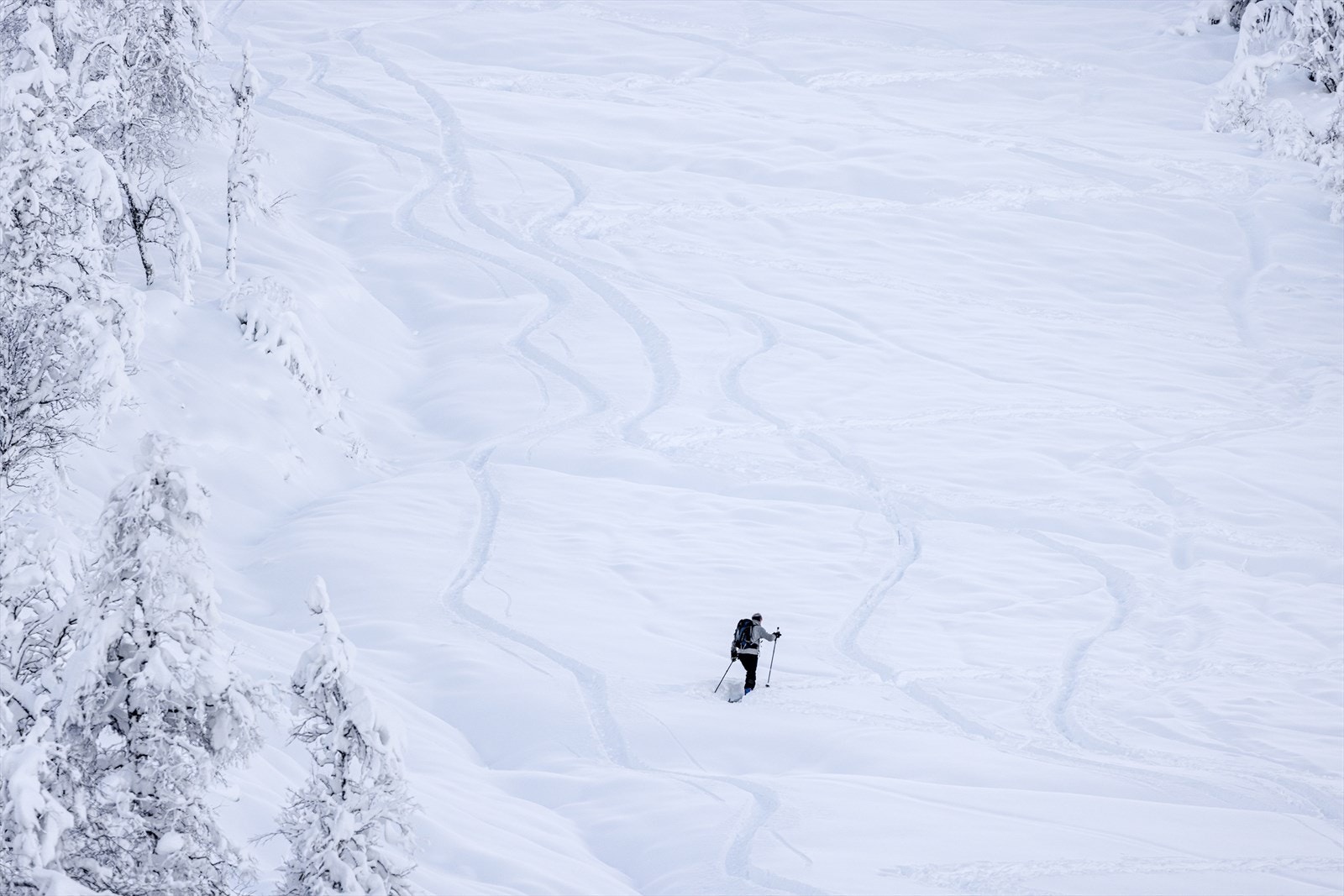 Topptureldorado utenfor døren Galleribilde