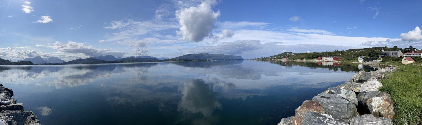 Privat bilde på sommerstid. Galleribilde