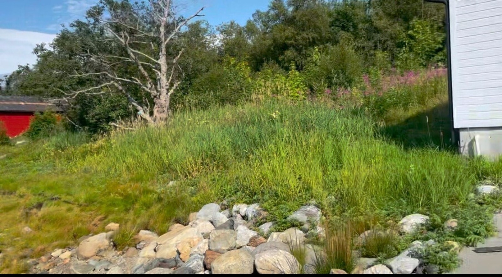 Privat bilde på sommerstid. Galleribilde