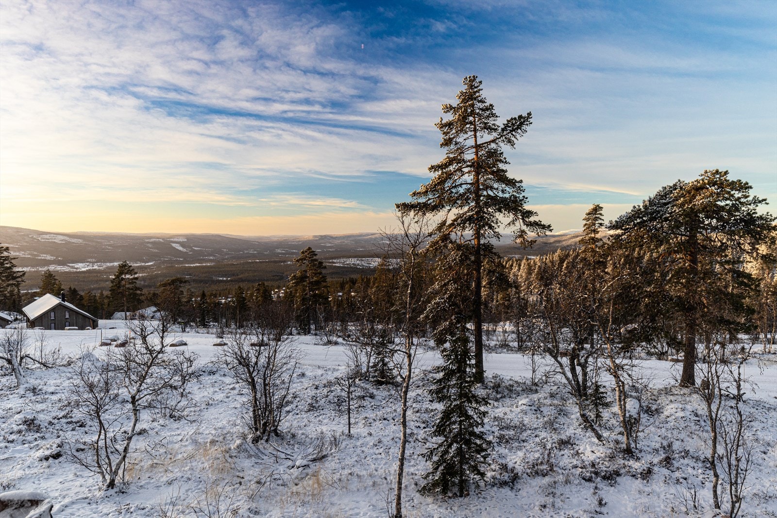 Utsikt i sørøstlig retning. Galleribilde