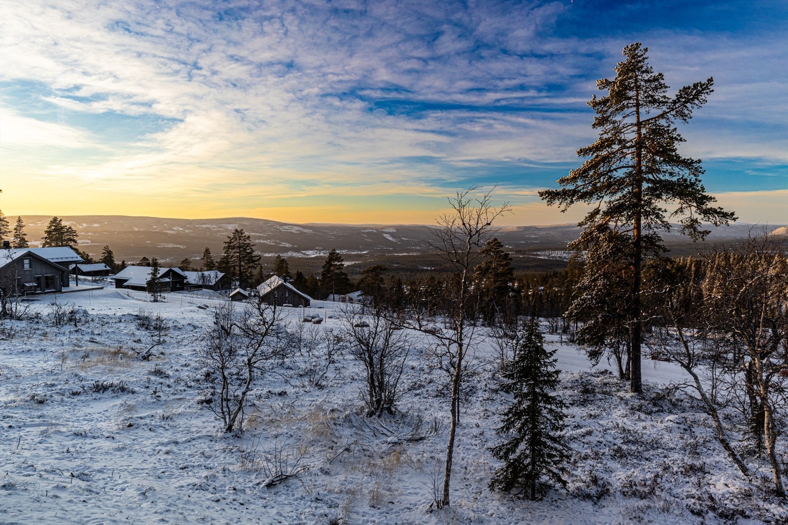 Utsikt fra terrassen. Galleribilde