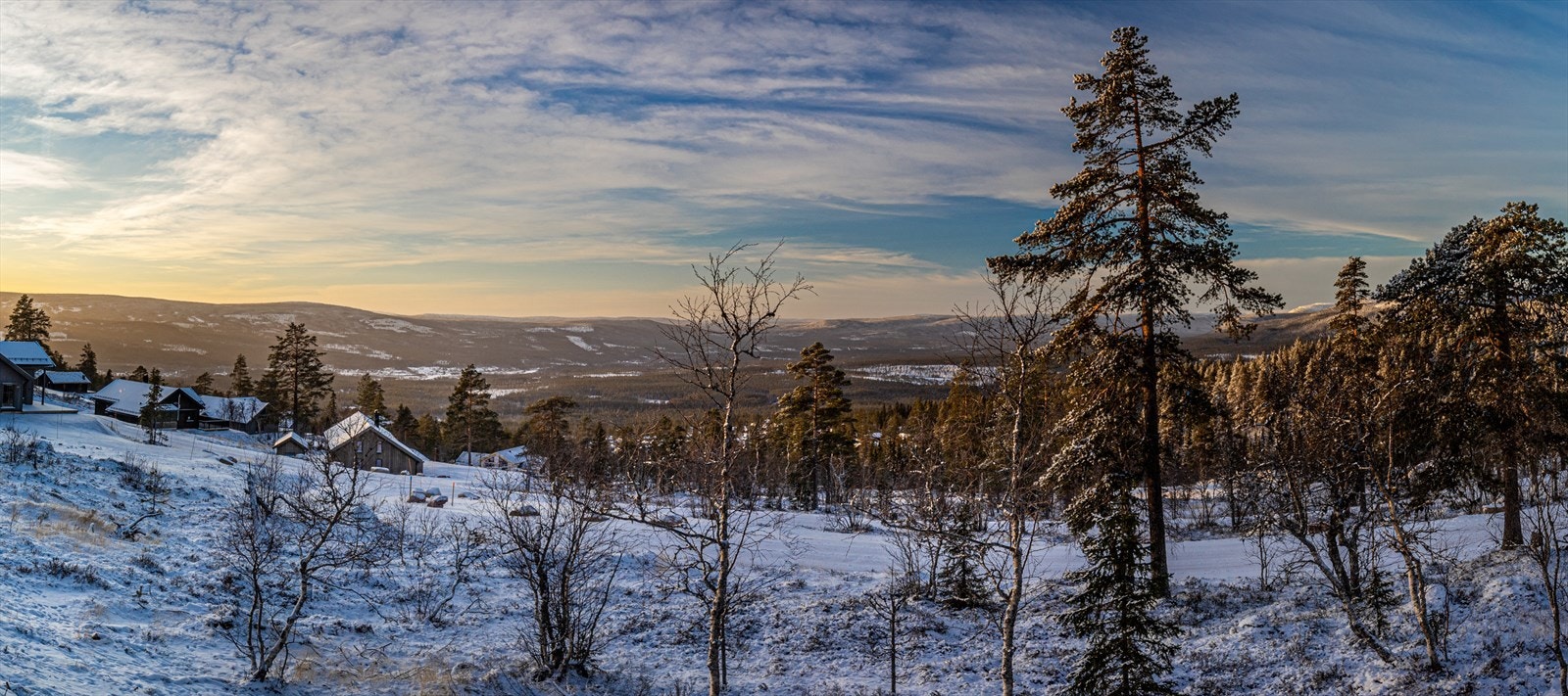 Panoramabilde fra terrassen. Galleribilde