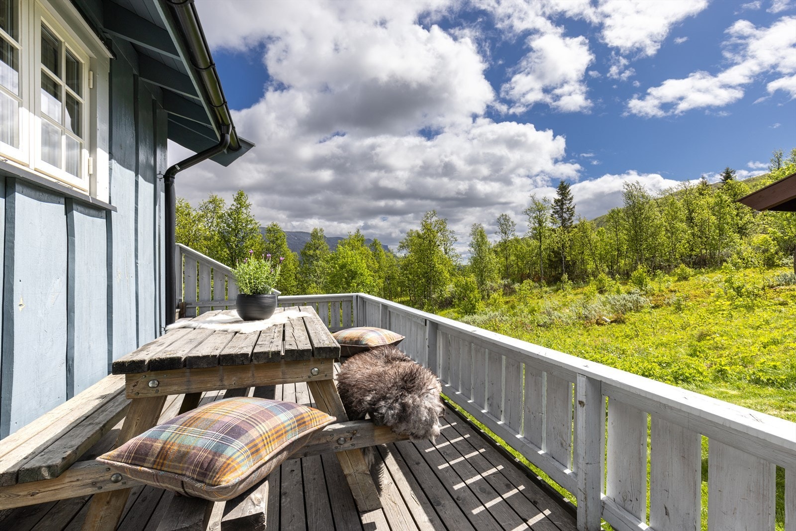 Lun og solrik terrasse mot syd. Galleribilde
