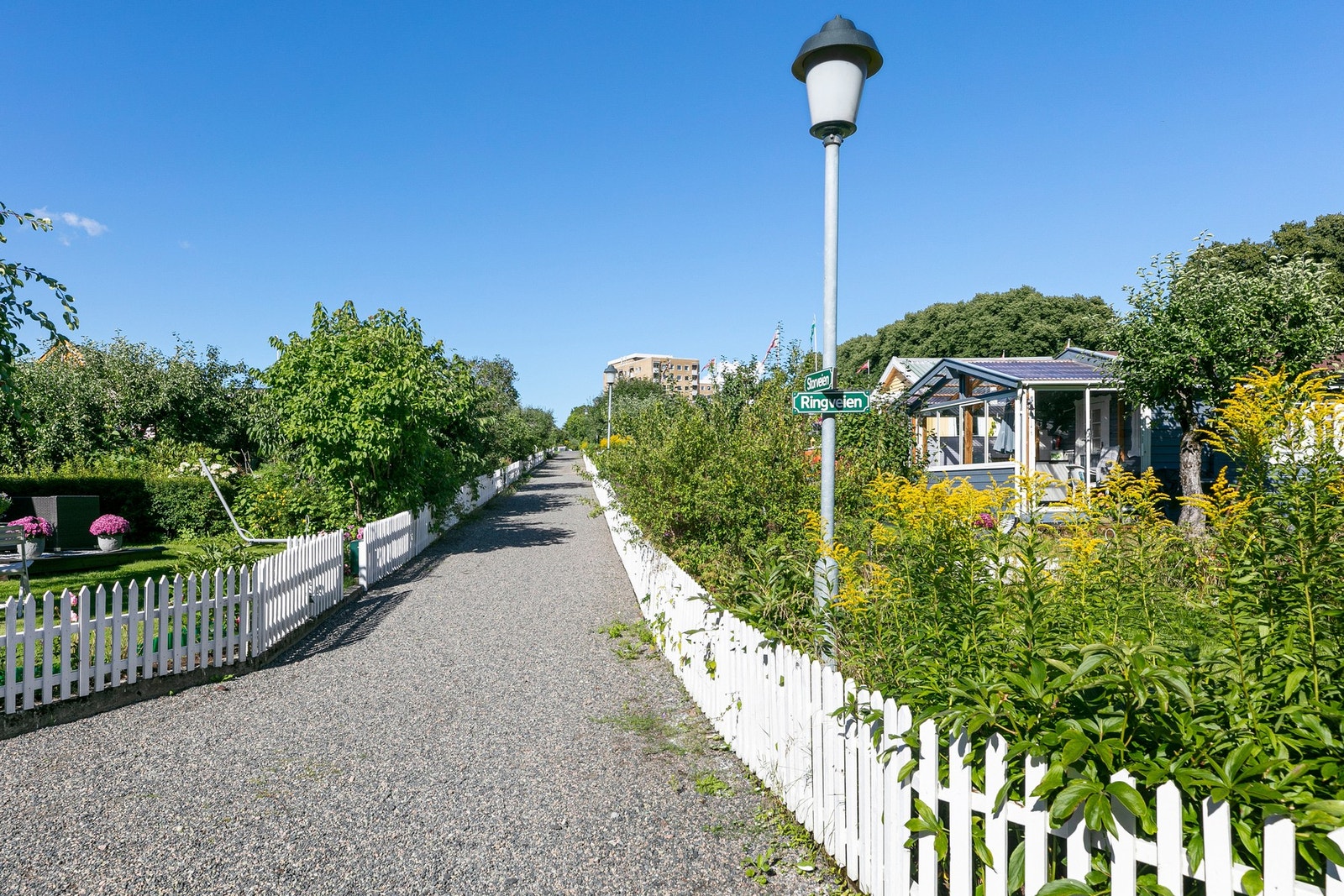 I området er det mange hyggelige turområder, her fra velstelte Rodeløkka Kolonihager. Galleribilde