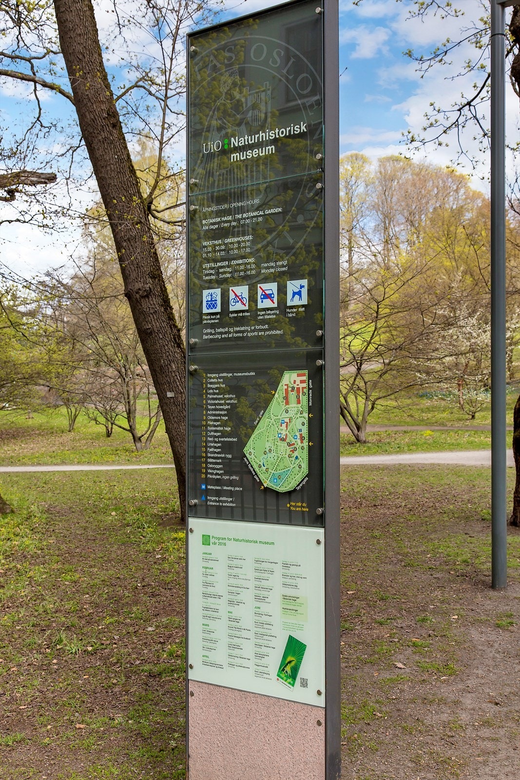 - Nærområdet - Galleribilde