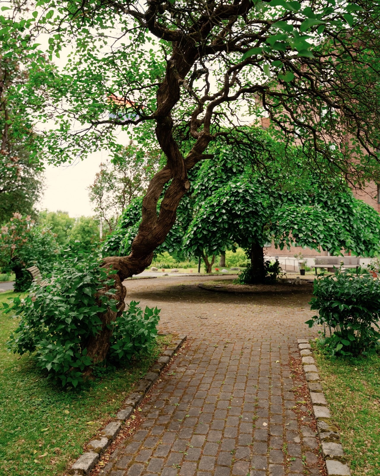 Kombinasjonen av rolige og grønne omgivelser i et samtidig sentralt bomiljø gjør dette til et meget attraktivt sted å bo. Galleribilde