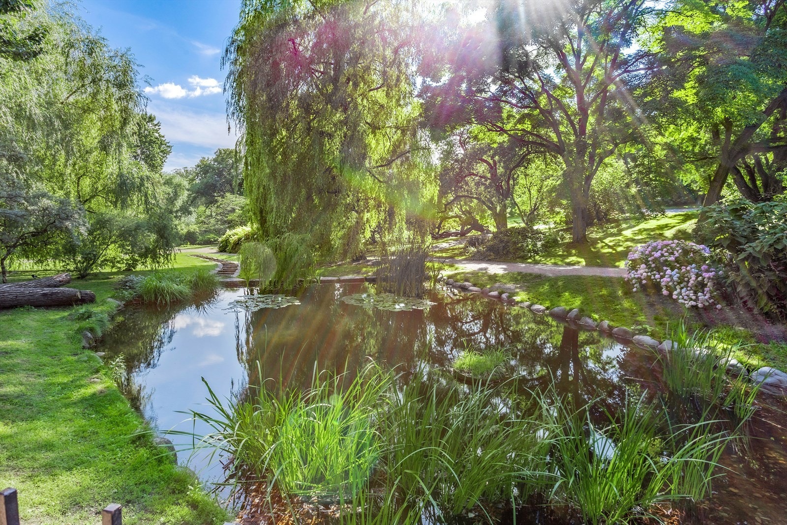 Flere flotte grøntarealer og rekreasjonsmuligheter i umiddelbar nærhet, herunder Botanisk hage, Sofienbergparken, Tøyenparken og Ola Narr Galleribilde