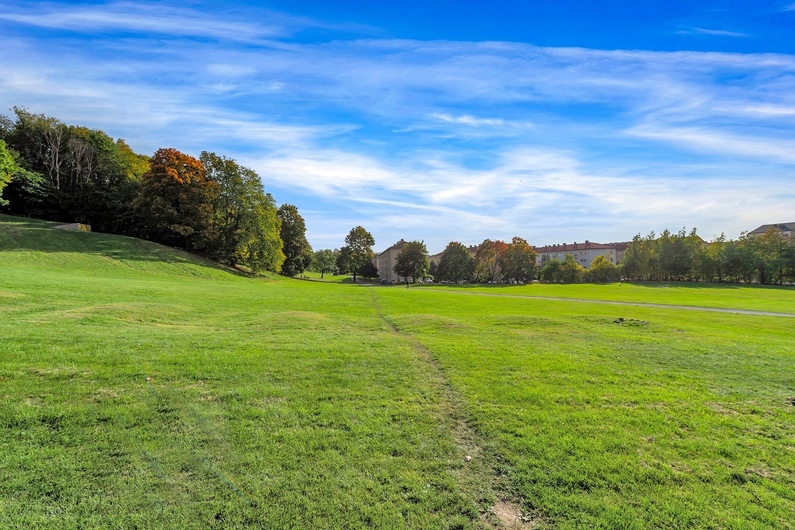 Ola Narr. Galleribilde