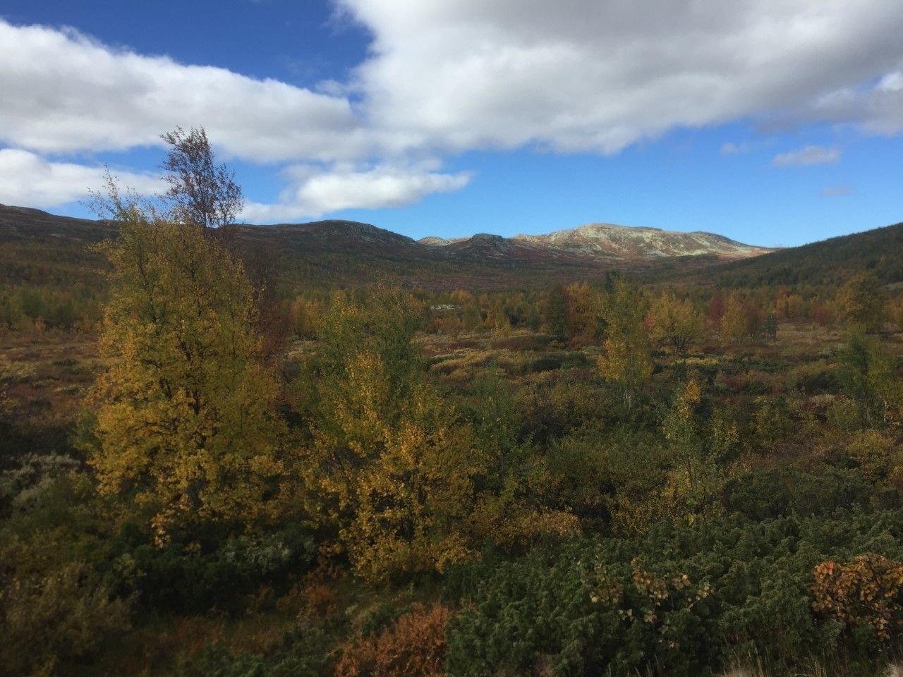 Privat bilde: Kort vei til Solheimstulen som er et flott utgangspunkt for turer. Galleribilde