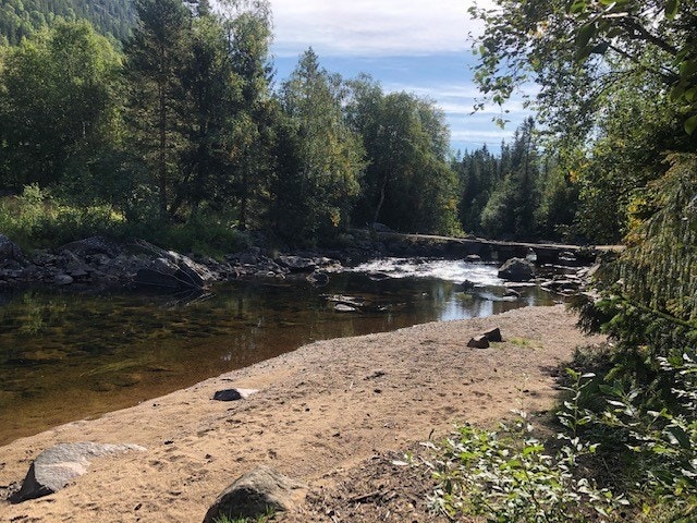 Privat bilde: Gode fiskemuligheter i Uvdalselva. Galleribilde