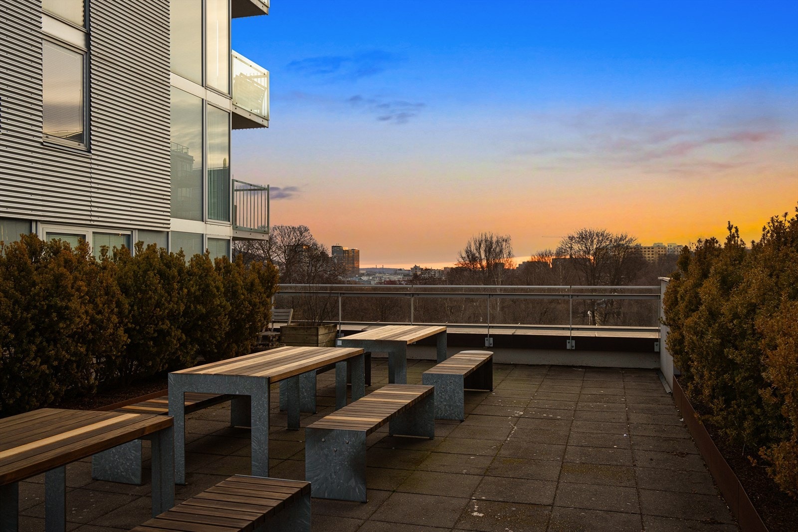 Felles takterrasse med sittegrupper og beplanting. Galleribilde