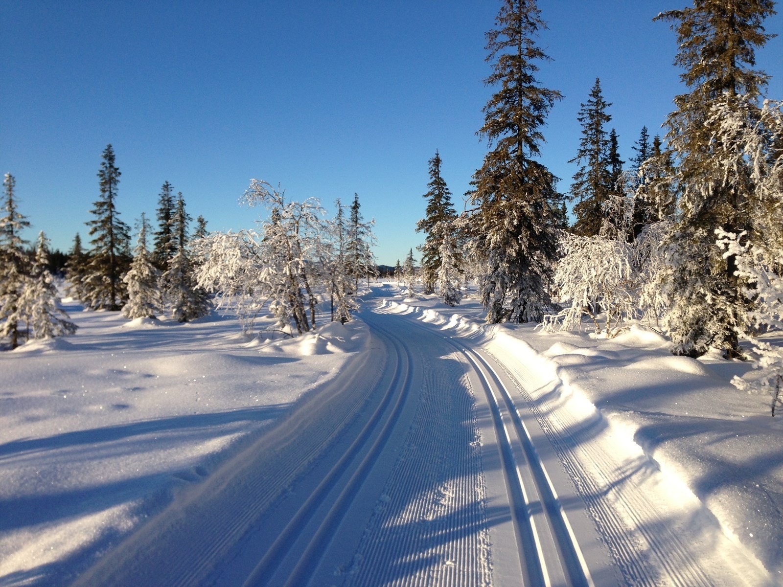 Det er fine skiløyper i området på vinterstid. Galleribilde