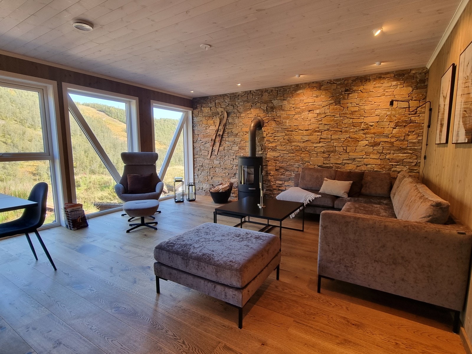 Stue med fantastisk utsikt over Nos / Alpin anlegget. Galleribilde