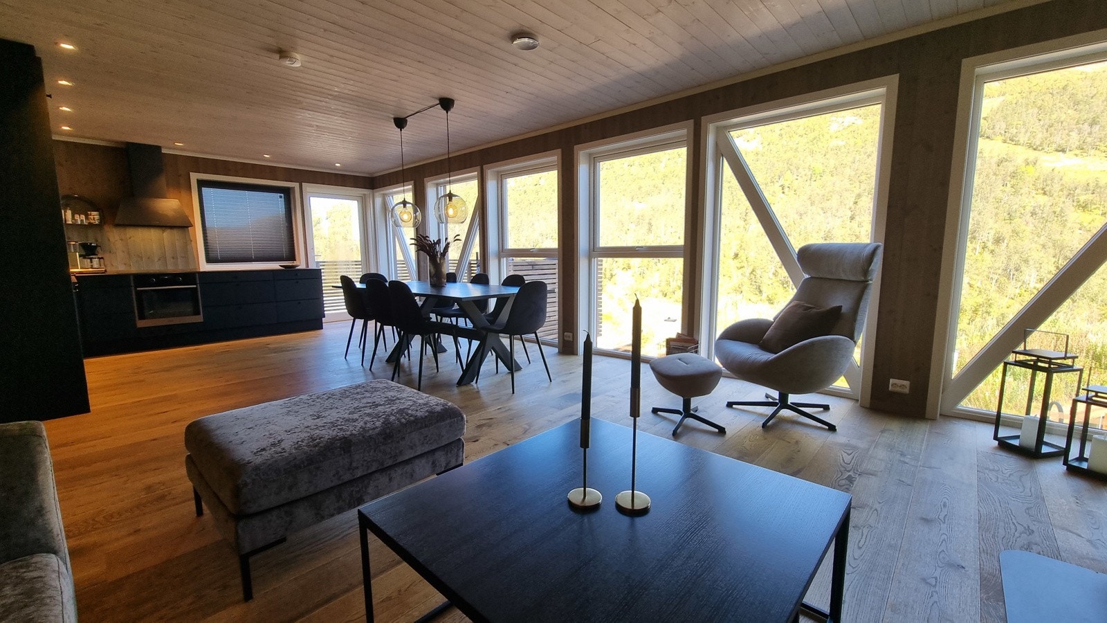 Stue og kjøkken med fantastisk utsikt over Nos / Alpin anlegget. Galleribilde