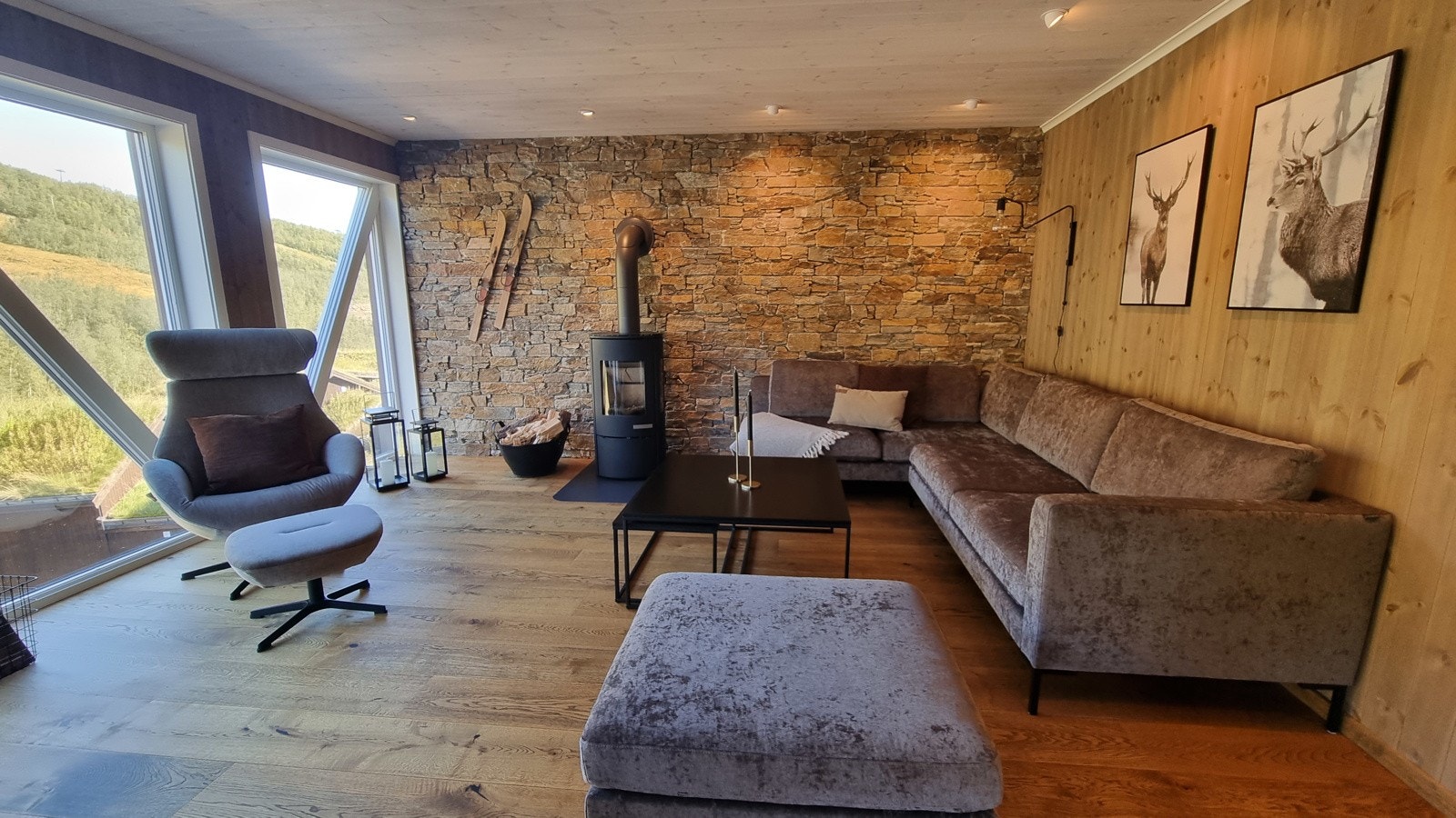 Stue med fantastisk utsikt over Nos / Alpin anlegget. Galleribilde