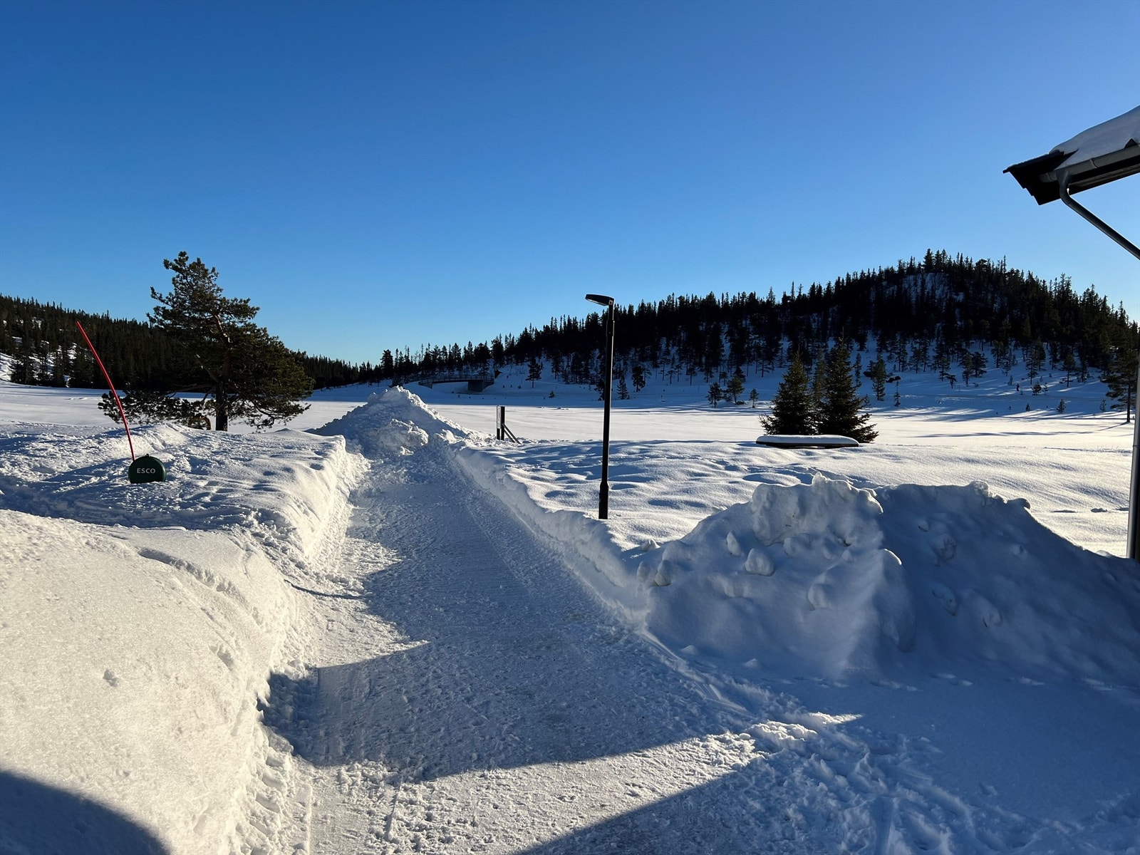 Vannet rett ved. Galleribilde