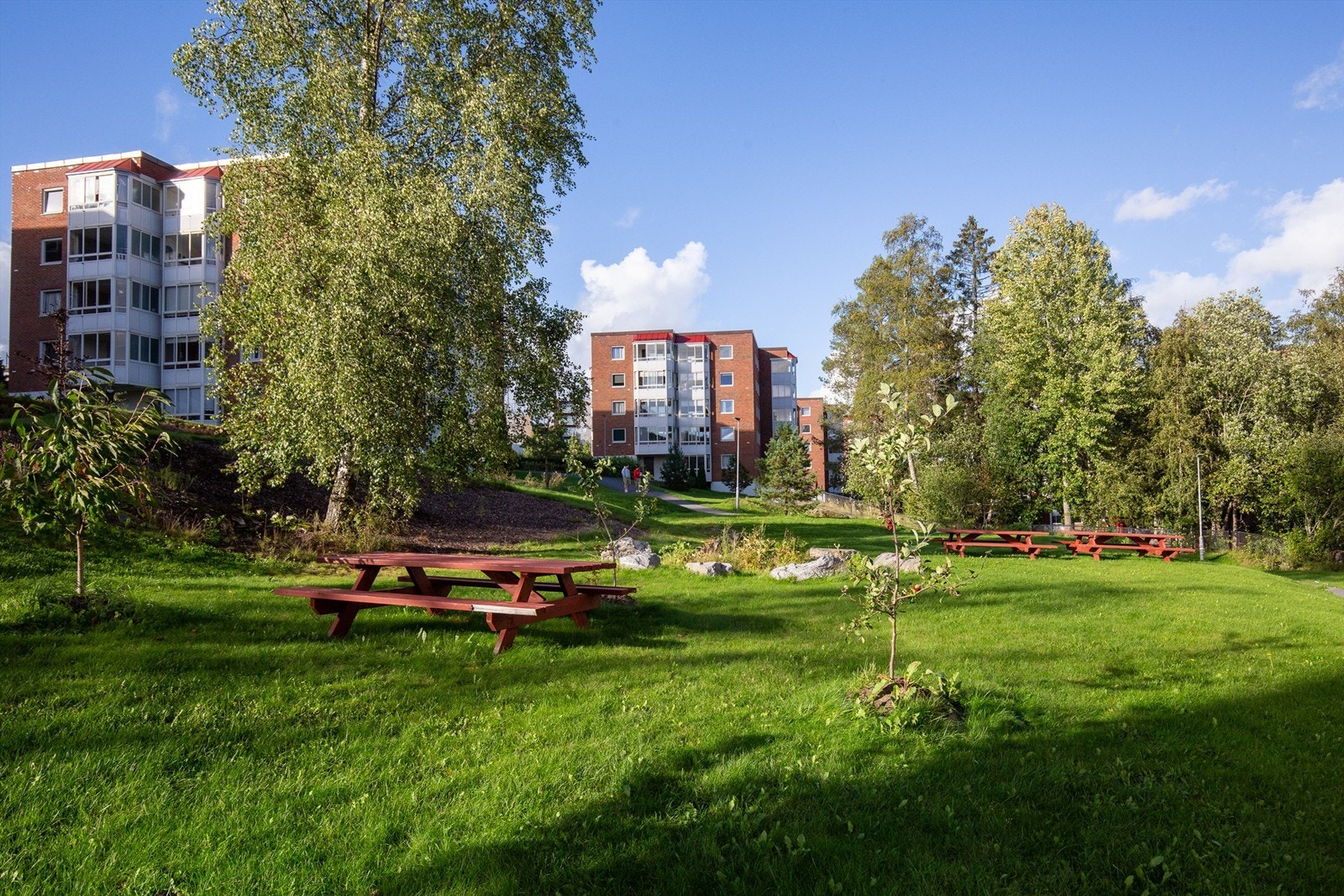 Borettslagets fellesområder er pent opparbeidet med grøntområder, diverse benker og sittegrupper. Galleribilde